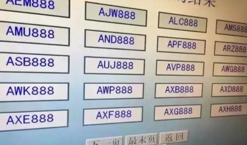 刚选车牌号能注销重选吗