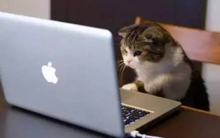 2022京东618定金可以退吗