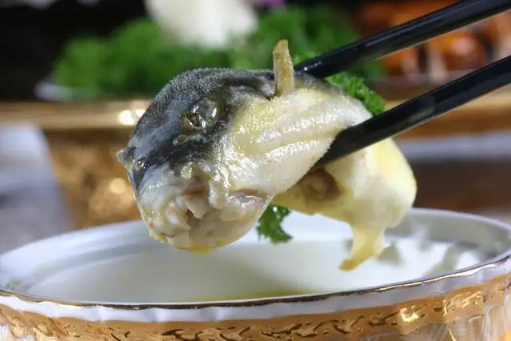 吃河豚会不会中毒