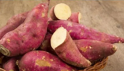 红薯要怎么种才可以结得多一点