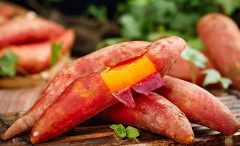 红薯要怎么种才可以结得多一点