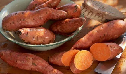 红薯要怎么种才可以结得多一点