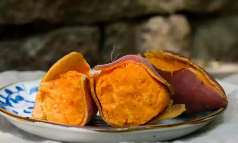 红薯要怎么种才可以结得多一点