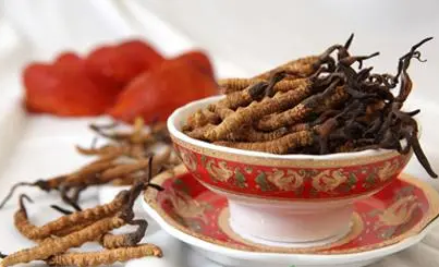 虫草泡水有什么功效