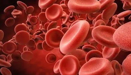 贫血吃什么最好最快的补血