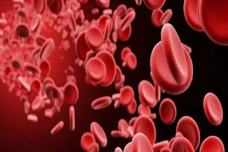 贫血吃什么最好最快的补血