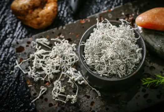 莓茶泡出来什么颜色代表坏了