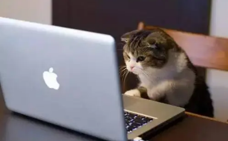 2022高考报志愿什么情况会滑档