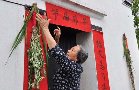 艾草和菖蒲可以放在卧室吗