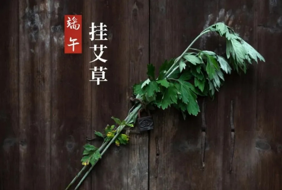 端午节艾草挂哪里好