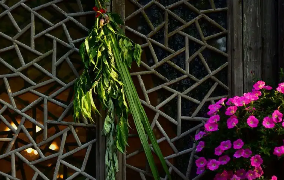 端午节艾草挂哪里好