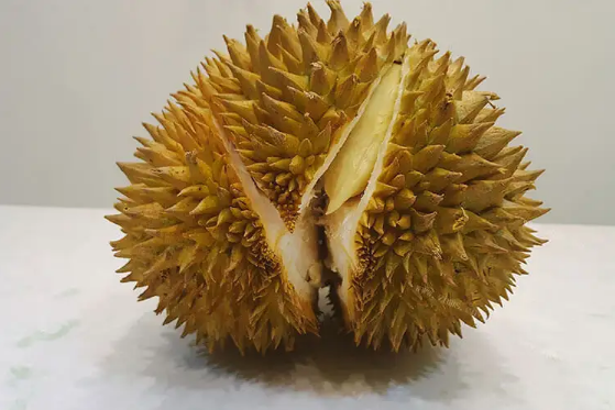 没开口的榴莲要放几天才能熟