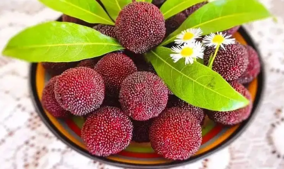 洗杨梅用小苏打还是盐水