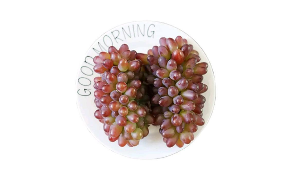 茉莉香葡萄可以做葡萄酒吗