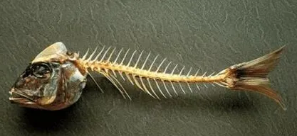 鱼刺卡喉咙怎么办