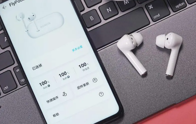 荣耀flypods3可以定位吗