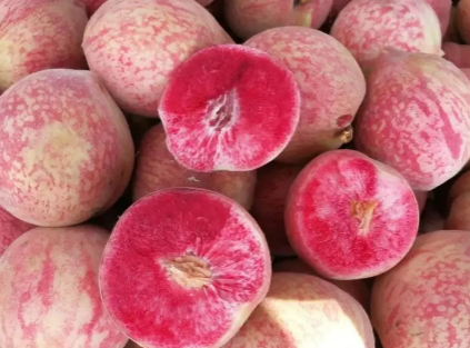 血桃放放会软吗