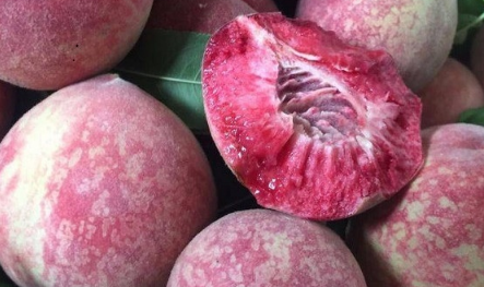 血桃是甜的还是酸的