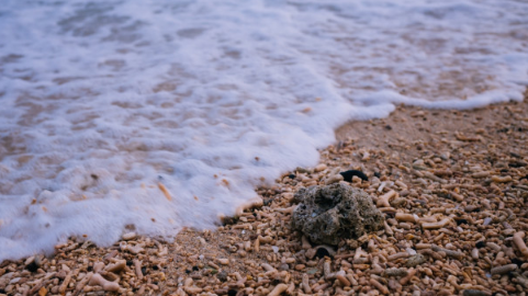 现在去涠洲岛热不热6月