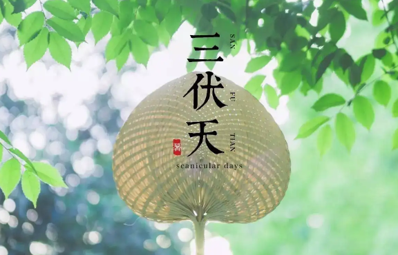2022年三伏天共多少天