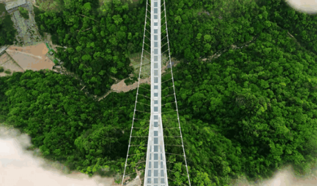 张家界自由行好还是跟团