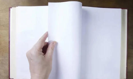 柔荑指女子的什么地方