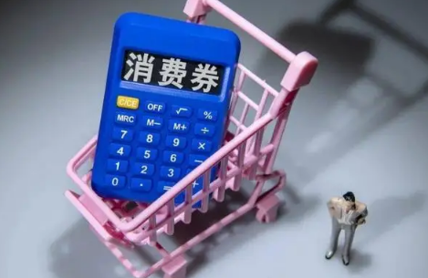 2022杭州数字消费券怎么领取