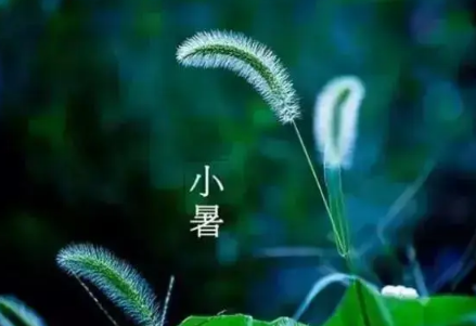 小暑节气下雨好还是出太阳好