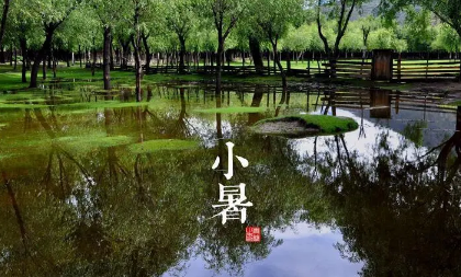 2022小暑节气起风好不好