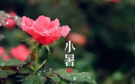 2022小暑节气起风好不好