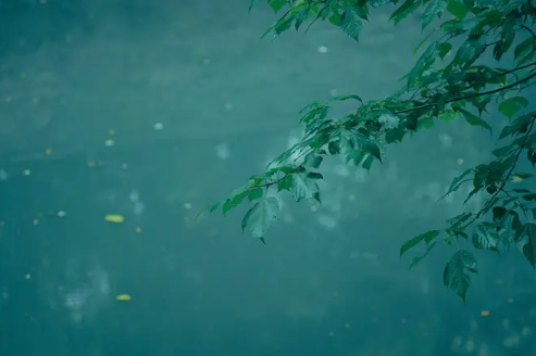 2022年下半年雨水多不多