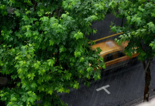 2022年下半年雨水多不多