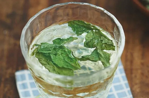 薄荷泡水怎么泡出清凉味