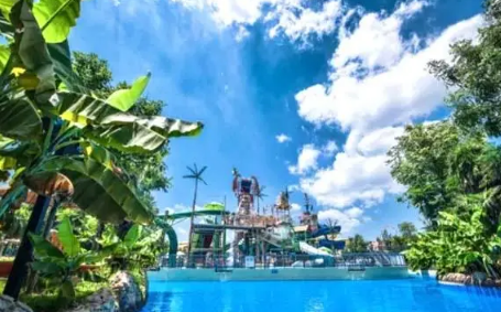 武汉玛雅水上乐园早鸟票是什么意思