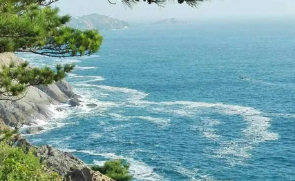 2022年青岛7月热还是8月热