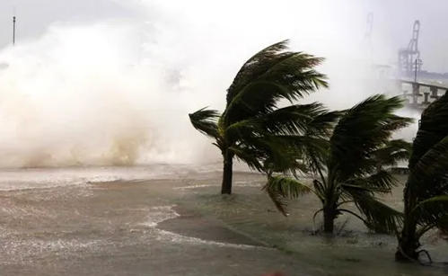 2022年一共有几个台风