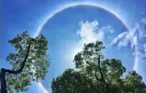 什么时候进入三伏天2022年