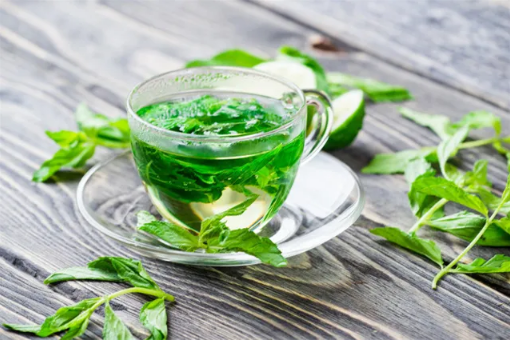 湿气重的人可以喝薄荷叶泡水吗