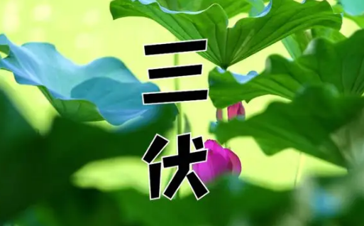 2022年三伏天一伏多少天