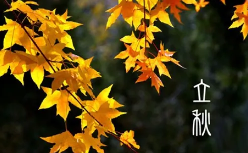 2022年8月几号立秋