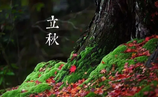 2022年是上午立秋还是下午立秋