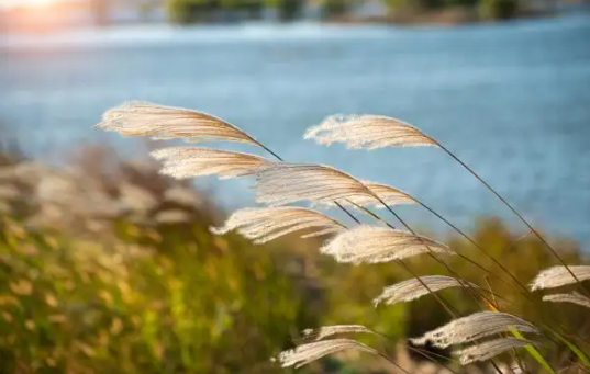 2022年立秋时间预示睁眼秋还是闭眼秋