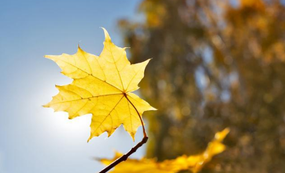 2022年立秋时间预示睁眼秋还是闭眼秋