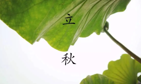 2022年立秋是几伏
