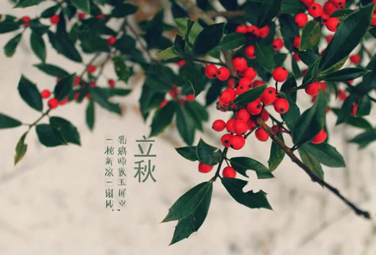 2022年立秋时间几点几分几秒