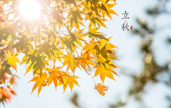 2022年立秋当天可以结婚吗