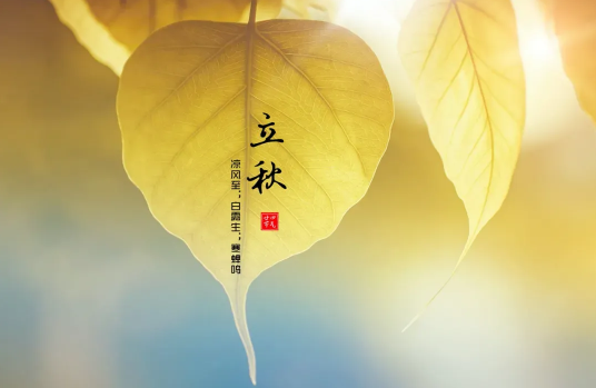 2022年立秋当天可以结婚吗