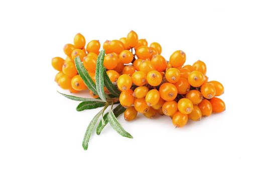 沙棘果维生素c含量比猕猴桃高吗