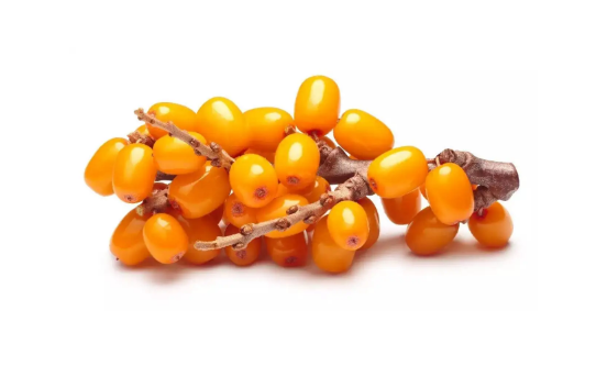 沙棘果维生素c含量比猕猴桃高吗