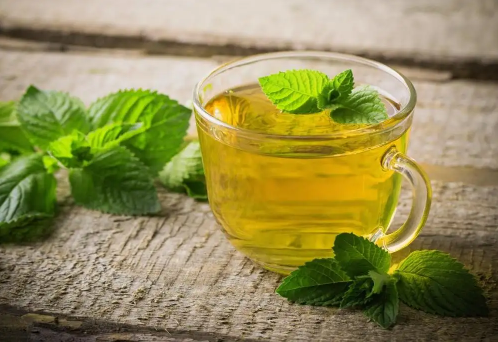 薄荷泡水用老叶还是嫩叶